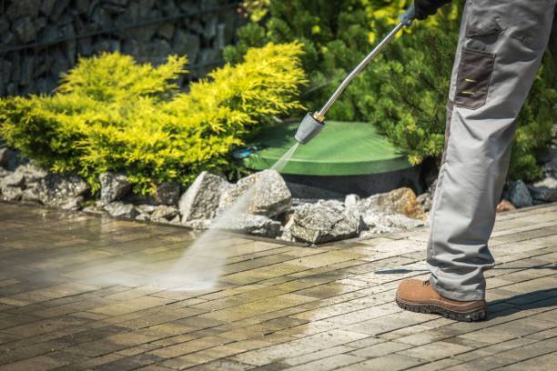 Best Warehouse Cleaning  in East Stroudsburg, PA